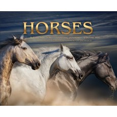 (영문도서)Horses: a Soulful Equestrian Photography Coffee Table Book Hardcover, Voyage & Quill Publishing, English, 9781918385045