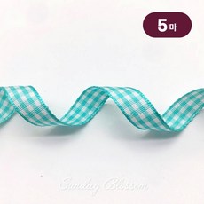 선데이블라썸 [18색] 10mm 체크리본 테이프 선물포장끈 공예 제작 원단, 5개, 06. 민트