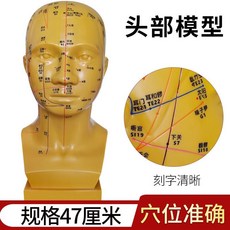 包郵!頭部針灸帶穴位模型圖中醫用教學按摩人體經絡全臉面部假人頭模特人體模型 教学 模型 穴位 關節骨架 模具, 銅色47cm高1:1頭部穴位模型