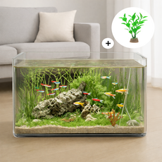 솜솜스퀘어 고강도 PET 금붕어 열대어 수조 어항 세트, 1개, 투명