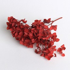 화연양화 프리저브드플라워 수국 1g 30색, 07 레드