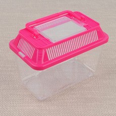 곤충 채집통 투명 곤충채집 케이스 곤충채집통 채집통 곤충관찰채집통 투명곤충채집통, 없음, 없음, 상세설명 참조