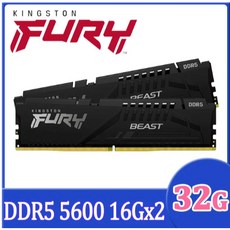 Kingston 金士頓 FURY Beast 獸獵者 DDR5 5600 32GB(16GBx2) 超頻記憶體, 1個