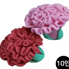 JINI 향기 버블솝플레이 5월의카네이션 10인 클레이재료