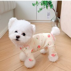 베이직365 강아지 올인원 향균 실내복, 1개, 딸기