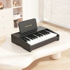 미니 피아노 토이피아노 토이 건반 미니피아노 악기제작소, 1개, B. 25키 블랙 목조 피아노 컬러박스 무료 악보 스티