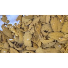 국산우니 보라성게알, 100g, 1개