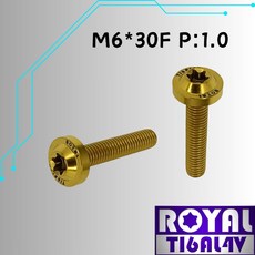 ROYAL 鈦合金螺絲 M6*30F P:1.0 飛碟頭螺絲 土豪金, 1個