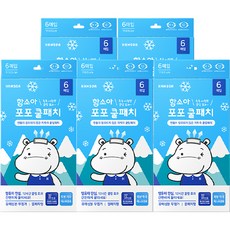 함소아화장품 포포 쿨패치 열 냉각시트, 6개입, 5개