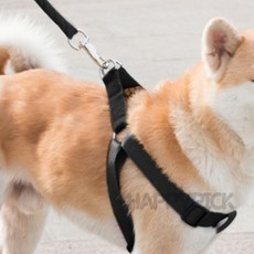 하늘픽 대형견 목줄 하네스 리드줄 세트(XS) 반려견리드줄