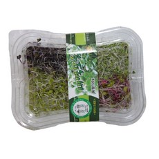 초록이슬 새싹모둠 50g, 1개