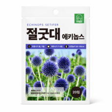 [주주씨앗] 절굿대 씨앗 20립 에키놉스 이색 다년생 꽃씨앗 야생화 씨앗몰, 1개
