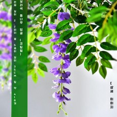 루모 행잉식물 포토존 보라색꽃 덩쿨 인조나무 스트립 인조넝쿨 순자등나무 담쟁이 잎사귀 퍼플, 2. 후지꽃 (보라색)