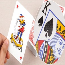 메종제나 포커카드 게임카드