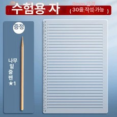 A4 줄긋기 자 노트 직선 공책 학습 필기 답안지 그리기, 1개, 30칸 0.9cm