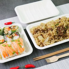 紙漿方形一次性容器 16 217 x 152 x 28 厘米, 1個, 100件