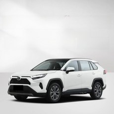 음향 차단 밀봉 스티커 차량용 차량 문 소음 방진, 4 Toyota RAV4 Rongfang/2020-20, 1 [Four-door suit] send center, 1개