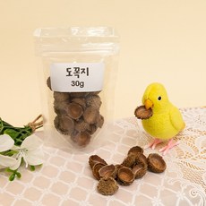 앵무새 놀이 장난감 도꼭지 자연 포레깅 재료 도토리