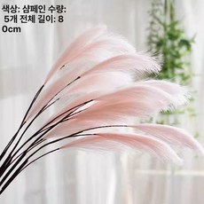 감성 조화 핑크 뮬리 갈대 인테리어 장식용 꽃 플라워 소품, 샴페인 5송이
