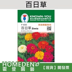 農友種苗 KNOWN-YOU 百日草 Zinnia 混合色花種子 F-650 家庭園藝, 1包