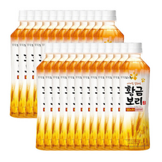 오늘의 차 황금보리 et /100%국산보리, 1개, 500ml