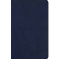 (영문도서) KJV Single-Column Compact Bible Navy Leathertouch Imitation Leather
