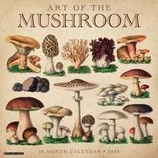 (영문도서)Art of the Mushroom 2026 12 X 12 Wall Calendar Spiral, Willow Creek Press Calendars, English, 9781549249914