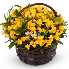 꽃뜨랑 생화꽃바구니 생일선물 개업꽃 축하선물 전국당일꽃배달(가격이 다른것은 인상 되었습니다.), B05 후리지아