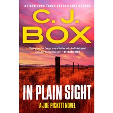 (英文圖書)In Plain Sight 平裝版, G.P. Putnam's Sons, 英文