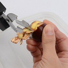 살림덕후 스텐 견과류 호두 밤칼밤가위 밤까는기계 밤까기 밤깍는가위, 블루, 1개