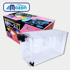 다팜아쿠아 아마존 A9620 난태생 구피 몰리 플래티 부상식 L사이즈 부화통 (18.2x10.5x11.3cm), 1개