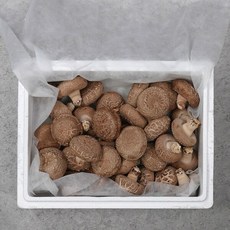 [도담] 표고버섯 프리미엄 1kg 선물세트, 도담 표고버섯프리미엄 세트1kg 910918, 1개