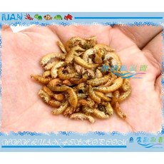 德國Tetra烏龜飼料1000ml，澤龜/水龜適用，條狀，強化骨骼甲殼, 1L