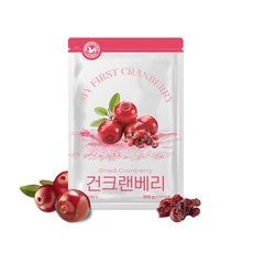 산과들에 건 크랜베리, 건크랜베리500g*1봉_농산물 중량_상세페이지참조, 1개