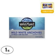 와일드플래닛 자연산 화이트 앤초비 천일염수 사은품 추가증정, 125g, 1개