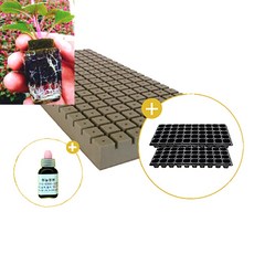 삽목용 오아시스162구+72구트레이 2장+발근력20ml+이름표사은품, 2개