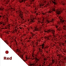 20/40/100g 영원한 생명 이끼 인공 식물 DIY 공예 잔디 정원 홈 룸 장식 미니 풍경 가짜, 1)40gram, A007