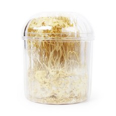 부부약업사 동충하초(국산) 45g, 1개
