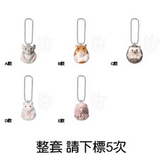 M.M小舖 T-ARTS 轉蛋 扭蛋 圓圓寵物鼠珠鍊吊飾 倉鼠 公仔 吊飾 全5款, 1個, 整套(金額400，下X5)2B290