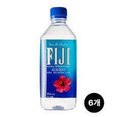 피지워터 500ml 6개 페트워터