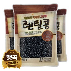 현대농산 검정 렌틸콩 블랙 렌즈콩 600g, 3개