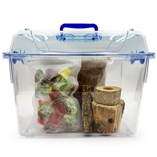 포시즌 사슴벌레 클린 사육세트, 1세트, 02.특대형