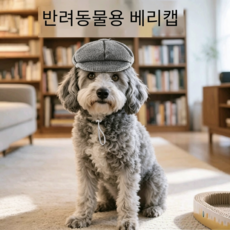 Lavitree강아지 고양이 모자 패션 아이템, 1개, A