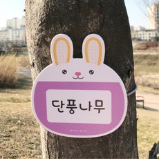 귀여운 나무이름표 만들기 1P 부착형 수목표찰 자연친화 생태교육 교회 학원 어린이집, 민트