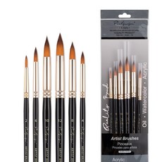 BVIEW STUDIO 아티스트 유화 아크릴 수채화 미술 붓 브러쉬 둥근붓 6P 세트, 1세트, 6종