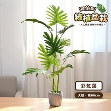 仿真綠植盆栽 特大號90cm 大號60cm 室內擺件 龜背葉假花, 1個, 【彩虹葉】 大號 60cm