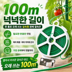 식물 고정끈 원예용 묶는 줄 가든타이 케이블타이 화초 지지대 고정 100m, 1개