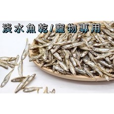 淡水魚乾 魚乾 魚干 麵包蟲 烏龜飼料 兩棲 爬蟲 蜜袋鼯 刺蝟 貂 倉鼠 巴西龜 烏龜 水龜 澤龜, 1個, 淡水魚乾（寵物專用）,100克