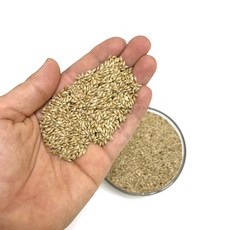 물세척 고온건조 카나리아씨드 소형 앵무새 먹이 카나리아 핀치새, 1개, 100g