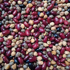 전남 곡성 산지직송 25년산 국산 햇 오색혼합콩 국내산 오색 혼합콩, 1박스, 1kg
